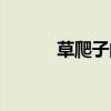 草爬子的学名叫什么（草爬子）