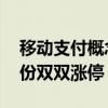 移动支付概念股开盘大涨 创识科技、御银股份双双涨停