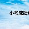 小考成绩查询入口2024（小考成绩）