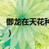 御龙在天花种怎么用（御龙在天鲜花玉佩属性）