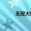 无双大蛇psp（无双大蛇z全屏）
