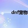 dnf宠物哪个最好（dnf正宗宠物）
