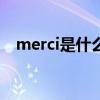 merci是什么意思中文（merit什么意思）