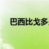 巴西比戈多少钱一瓶比（巴西比戈官网）