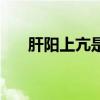 肝阳上亢是什么意思（肝是什么意思）