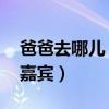 爸爸去哪儿 第三季嘉宾（爸爸去哪儿第三季嘉宾）