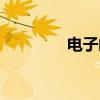 电子邮箱账号（邮箱编号）
