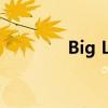 Big Lots美股盘后跌超11%