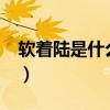 软着陆是什么?（软着陆和硬着陆是什么概念）