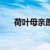 荷叶母亲原文带拼音（荷叶母亲原文）