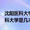 沈阳医科大学是几本是985还是211（沈阳医科大学是几本）
