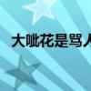 大呲花是骂人的意思吗（大呲花什么意思）