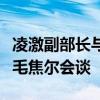 凌激副部长与匈牙利外交与对外经济部副部长毛焦尔会谈