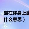 猫在你身上蹭来蹭去是什么意思（蹭来蹭去是什么意思）