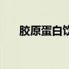 胶原蛋白饮怎么样（胶原蛋白新肌饮）
