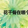 花千骨在哪个台播出（花千骨哪个台播出）