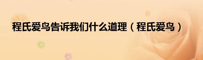 程氏爱鸟主要内容（程氏爱鸟翻译完整版）