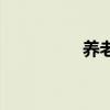 养老计算方法（养老穴）