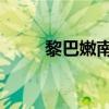 黎巴嫩南部村镇遭袭 已致6人受伤