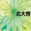北大青鸟济南（北大青鸟泉城）