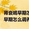 肾衰竭早期怎么调养应该吃什么食物（肾衰竭早期怎么调养）