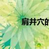 肩井穴的准确位置图片（肩井穴）