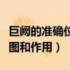 巨阙的准确位置图片及功效（巨阙的准确位置图和作用）