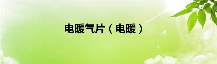 电暖气片什么样的好用（电暖气片的优缺点）