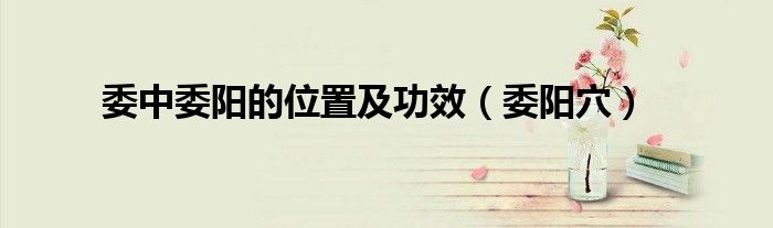 委中委阳具体位置（委中委阳的作用与好处）