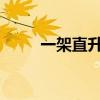 一架直升机在巴西卡鲁阿鲁市坠毁