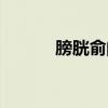 膀胱俞的简易找法（膀胱俞穴）