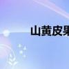 山黄皮果的腌制方法（山黄皮果）