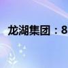 龙湖集团：8月总合同销售金额为65.1亿元