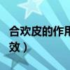 合欢皮的作用与功效图片（合欢皮的作用与功效）
