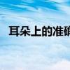 耳朵上的准确位置图（耳尖的准确位置图）
