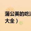 蒲公英的吃法大全 做菜 鸡蛋（蒲公英的吃法大全）