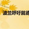 波兰呼吁就德国恢复边境管制问题进行磋商