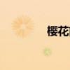 樱花前线日语（樱花前线）