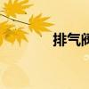 排气阀安装示意图（排气阀）