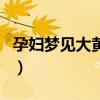 孕妇梦见大黄狗预示生什么（孕妇梦见大黄狗）
