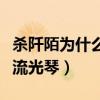 杀阡陌为什么一定要流光琴（杀阡陌为什么要流光琴）