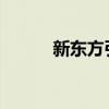 新东方引进海尼曼英语分级阅读