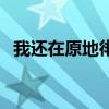 我还在原地徘徊（我还在原地你飞向天际）