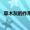 草木灰的作用及使用方法（草木灰的作用）