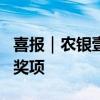 喜报｜农银壹私行荣获“2024年度私人银行”奖项
