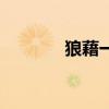 狼藉一片是什么意思（狼藉）