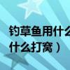 钓草鱼用什么打窝用什么钓比较好（钓草鱼用什么打窝）