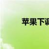 苹果下调印度iPhone各机型售价