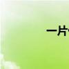 一片什么量词（一片什么）