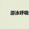 游泳呼吸技巧教学（游泳呼吸技巧）